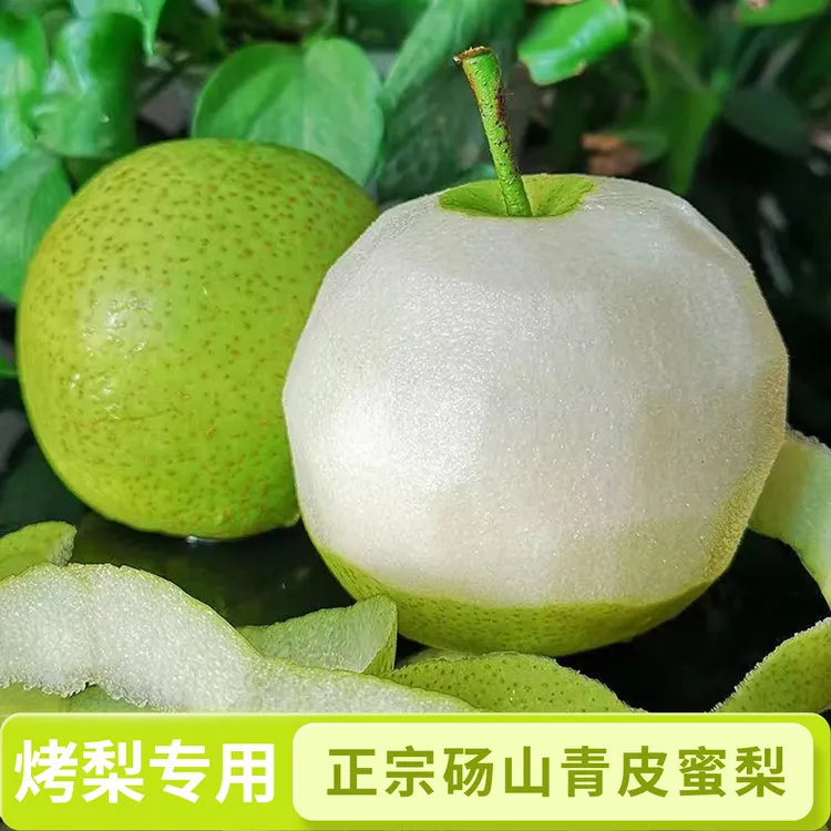 《坏果包赔》正宗砀山翠冠梨青皮蜜梨新鲜水果砀山酥脆烤梨榨汁专属