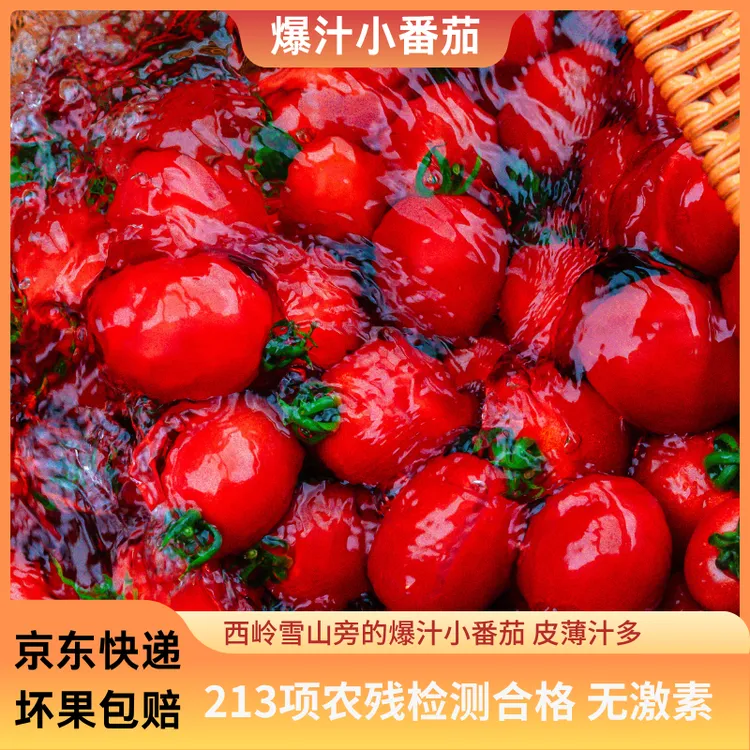 【水果之源】斜源小番茄新鲜现摘自然熟爆汁酸甜小番茄水果包邮