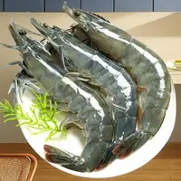 【特大号规格海虾】新鲜美味 肉质紧实 到手5斤 顺丰冷链特快