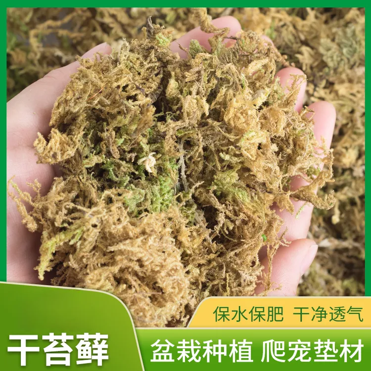 优质干苔藓移栽蝴蝶兰花专用营养土种植嫁接育苗乌龟植料垫材水苔
