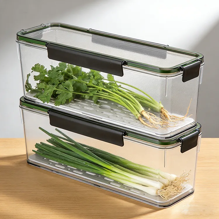 保鲜盒食品级大小葱香菜芫荽整根姜蒜面条鸡蛋收纳整理盒冰箱专用