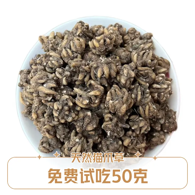 【免费试吃50克】天然无硫猫爪草新货可搭配夏枯草蒲公英