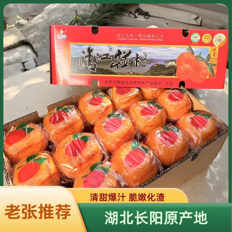 湖北清江长阳岩松坪椪柑 老张家原产地清甜爆汁果园品质香甜椪柑
