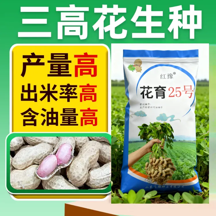 农科院高产花生种子花育25号三高薄壳全国优选种抗旱早熟花生原种