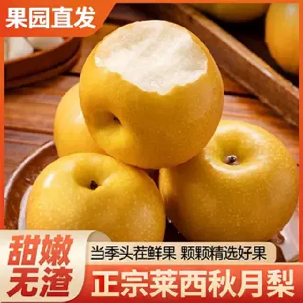 正宗秋月梨新鲜脆甜多汁应季水果精品大果