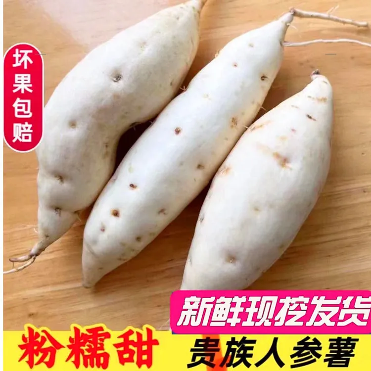 【净重5斤】正宗白心牛奶人参薯白皮白心红薯白心板栗薯红薯牛奶薯