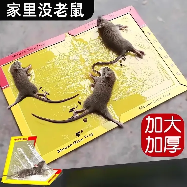 粘鼠板强力粘鼠标老鼠贴家用强力胶抓杀大老鼠老鼠板老鼠粘超强