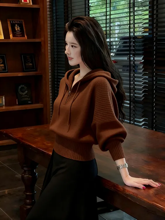 2025秋冬款老钱风连帽半拉链咖啡色针织衫女麻花纹时尚设计感毛衣