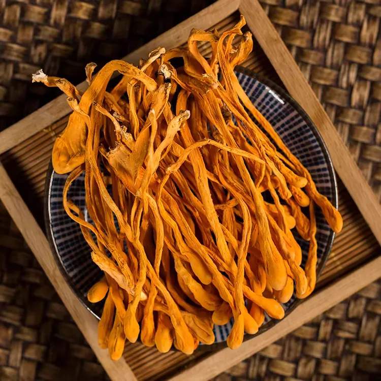 靓货 从草花  煲汤鲜甜