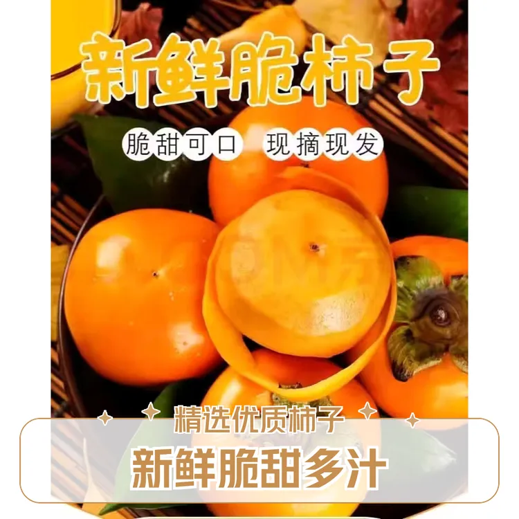 当季新鲜柿子新鲜糖心巧克力脆柿大果柿子应季甜脆柿早秋新鲜脆柿