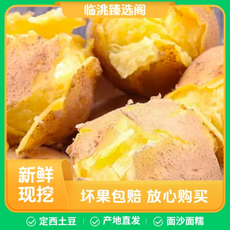 批发2025黄心沙面土豆洋芋甘肃定西原产地现挖现发
