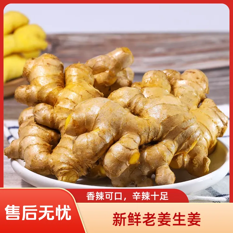 2025云南小黄姜老姜辛辣金黄调味厨房食用姜1斤装
