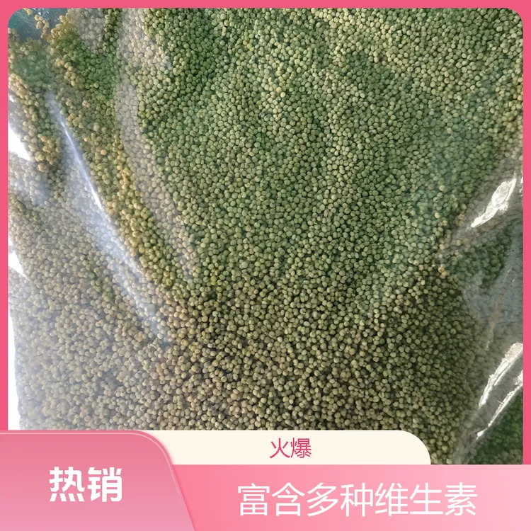 蛋小米促进鹦鹉踩背富含多种维生素养殖场专用配方鹦鹉学吃粮