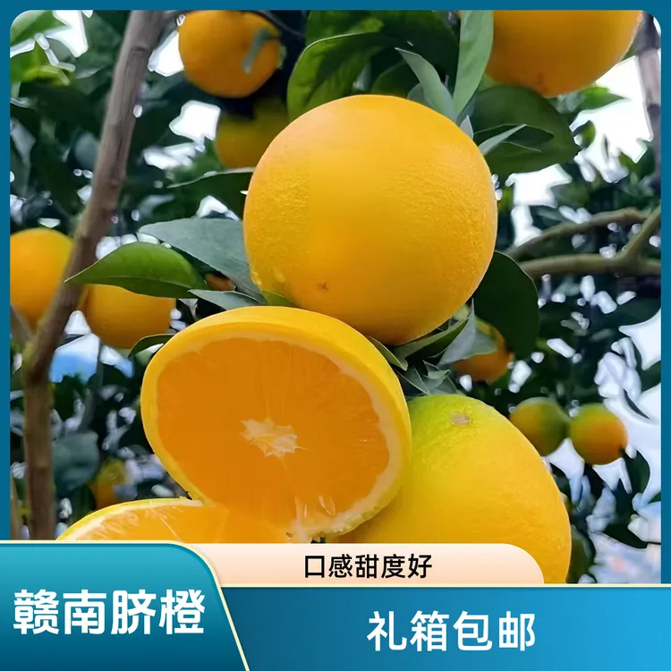 【寻乌脐橙】江西赣南脐橙 橙子应季新鲜 果园现摘 脐橙10斤装薄皮