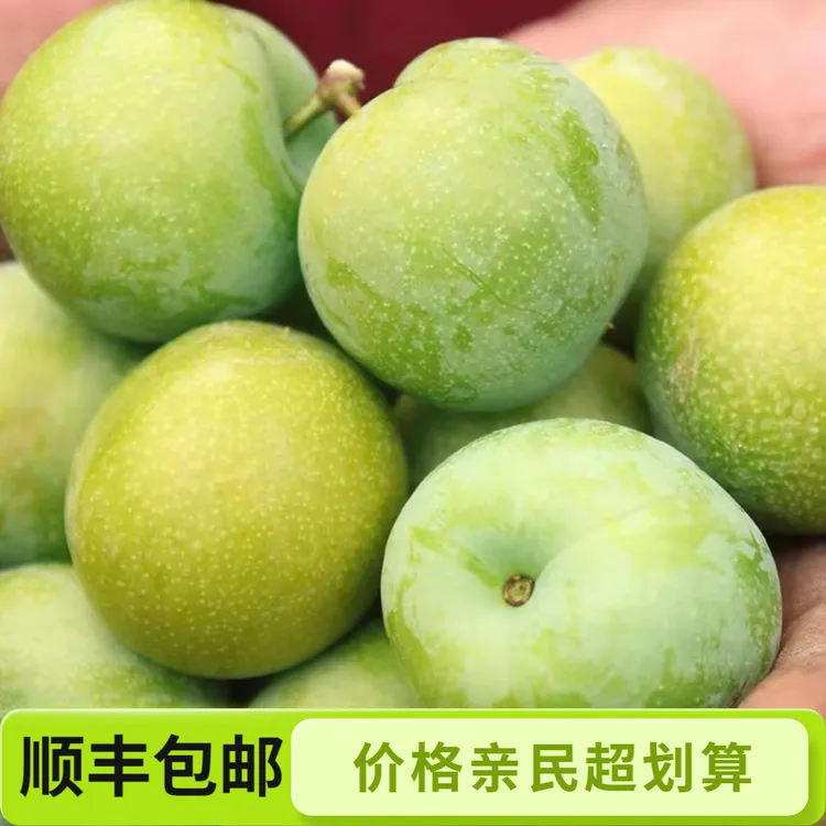 顺丰包邮正宗贵州老品种江安李脱骨李子苦李清脆李