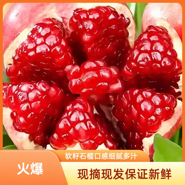 四川突尼斯软籽石榴一级果新鲜水果4.5-5斤现摘现发