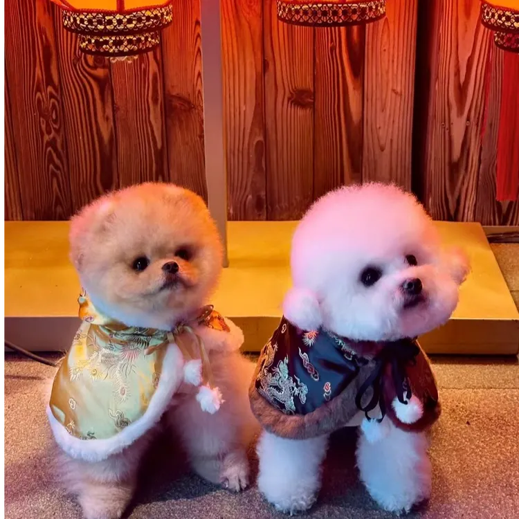 ICICECREAM国风宠物斗篷新年宠物服饰猫狗通用舒适原创