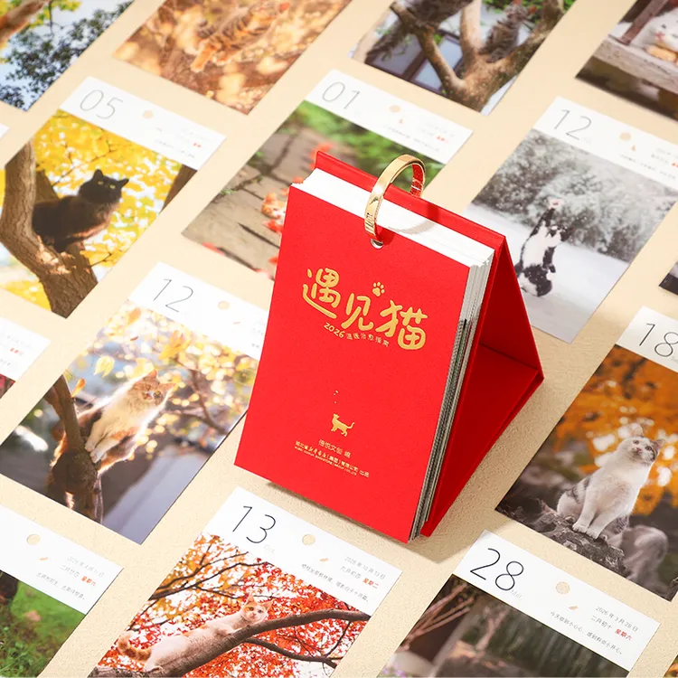 <倍阅文创>新年日历台历遇见猫温暖指南