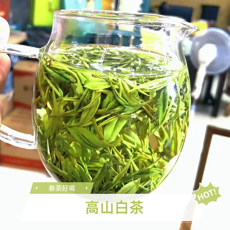 2-00高山白茶【兰花香】春茶口感鲜香回味甘甜好喝不贵春茶耐泡口粮