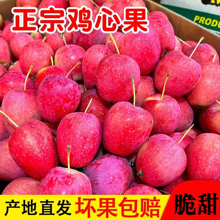 【酸甜脆爆汁】东北鸡心果香妃海棠新鲜酸甜脆爽当季水果