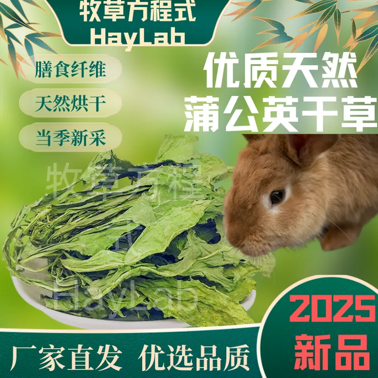 新鲜烘干蒲公英干草兔子龙猫猪饲料零食补充营养