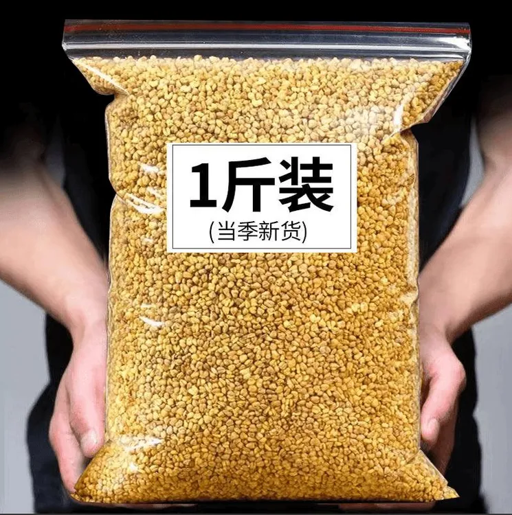 黄苦荞四川大凉山新货苦荞茶500g浓郁干吃泡水干净颗粒饱满黄苦荞