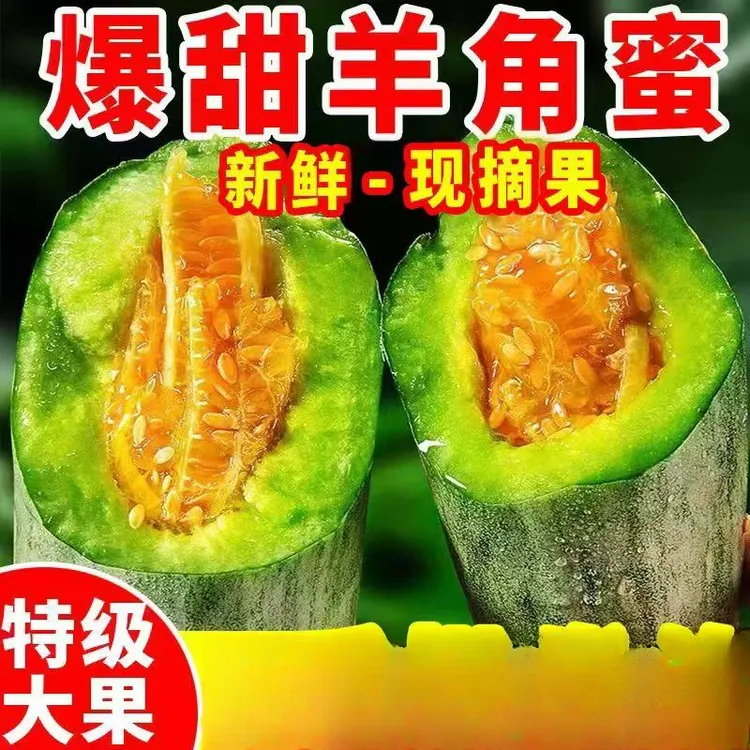 山东羊角蜜甜瓜脆甜蜜瓜