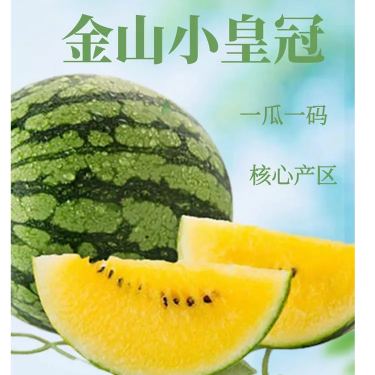 【一瓜一码】上海头茬金山小皇冠西瓜