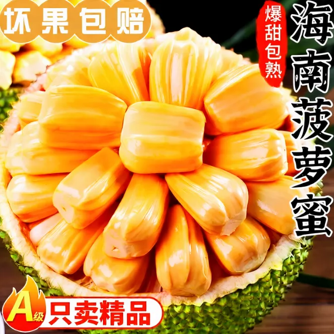 海南三亚波罗蜜正宗5号菠萝蜜黄肉干包热带新鲜一整个非印尼红
