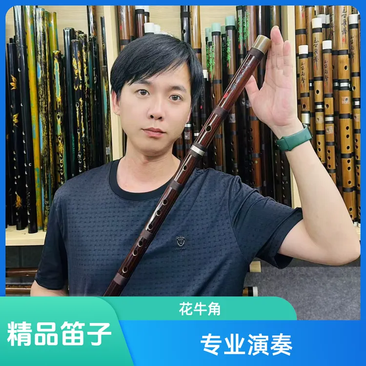 专业演奏笛 精品花牛角两节单插