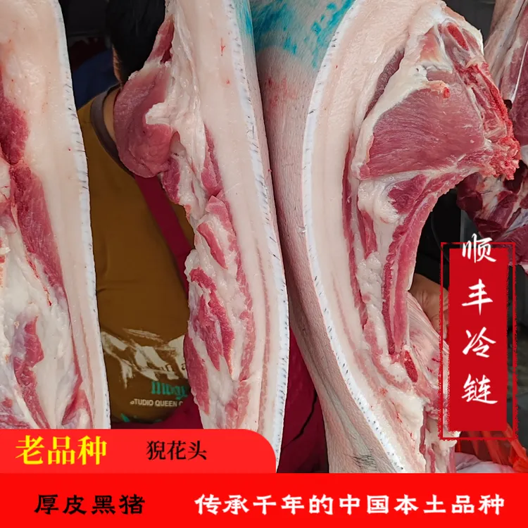 【带骨肋条】大别山区老品种猊花头厚皮黑猪隔年大猪铁骨猪默认烧皮