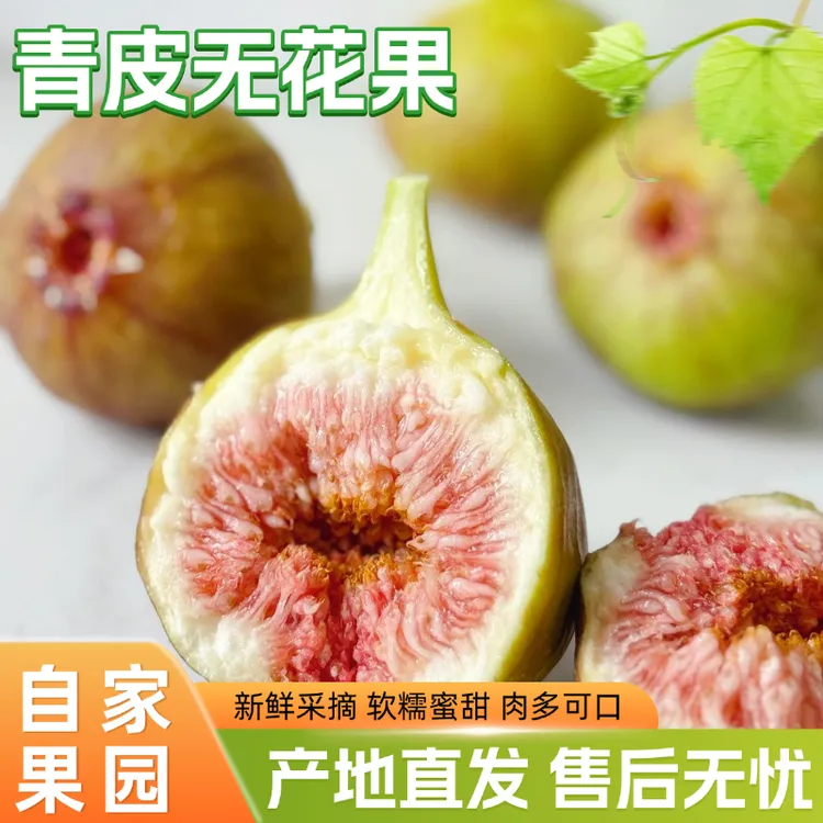 顺丰包邮 青皮无花果鲜果软糯香甜 肉多可口个大饱满新鲜果园直发