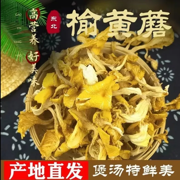 东北  榆黄蘑 干货 