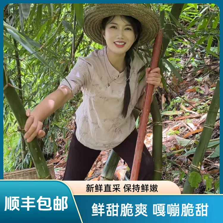 【顺丰包邮】广西天峨高山甜龙笋水果笋鲜甜脆爽可生吃不用焯水