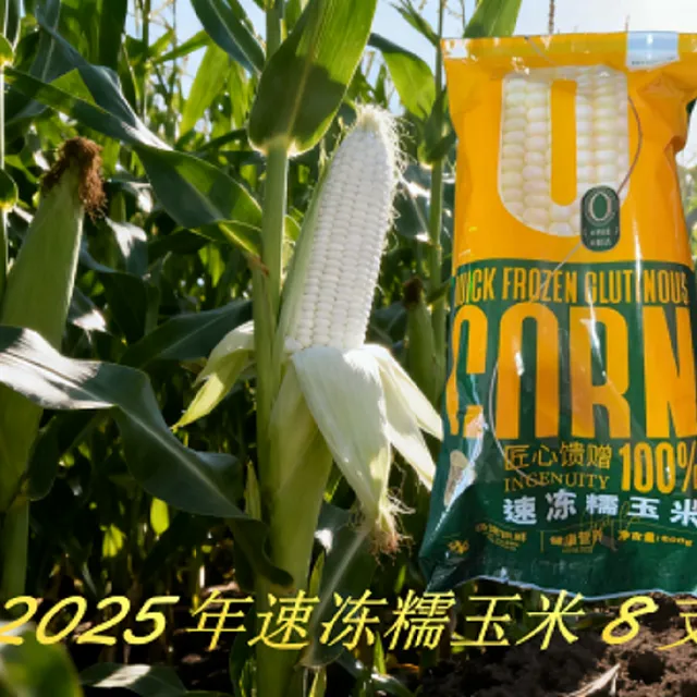 东北带叶白糯玉米棒*8只