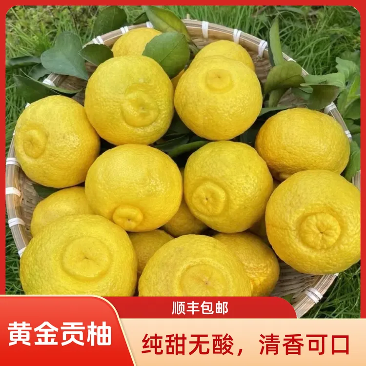 顺丰包邮】黄金贡柚10斤湖南怀化原产地应季新鲜水果青香甜小柚子