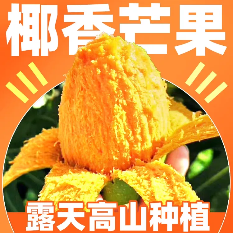 云南新鲜采摘带箱3斤/5斤/10斤鸡蛋芒果椰香芒