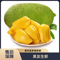 【越南进口菠萝蜜】8斤以上/1颗 黄肉整果发货仅限太原晋中吕梁拍