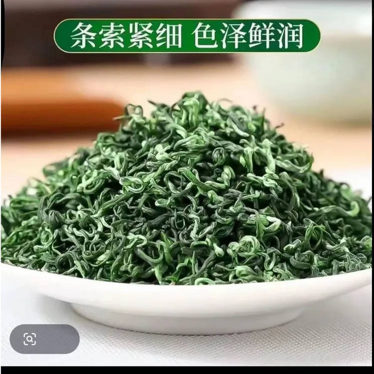 2025高山云雾绿茶新炒青绿茶口粮茶香浓耐泡试喝半斤