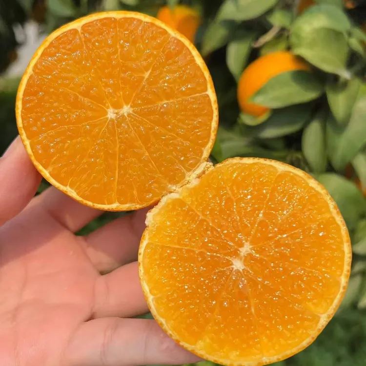 【卫凤专属】正宗四川爱媛38号果冻橙原产地发货新鲜多汁皮薄肉厚