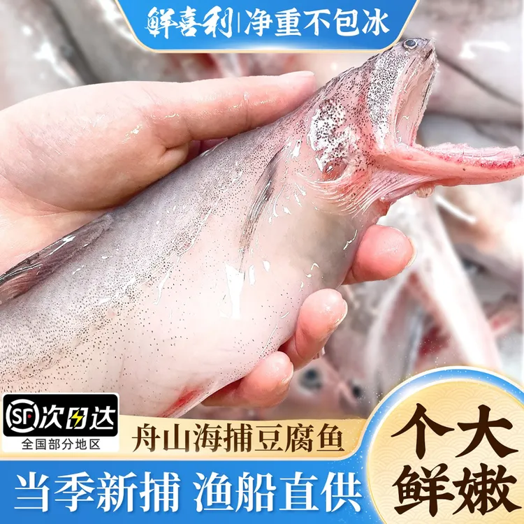 【自家渔场直供】舟山特产新鲜冷冻龙头鱼豆腐鱼九肚鱼水潺生鲜水产商品图