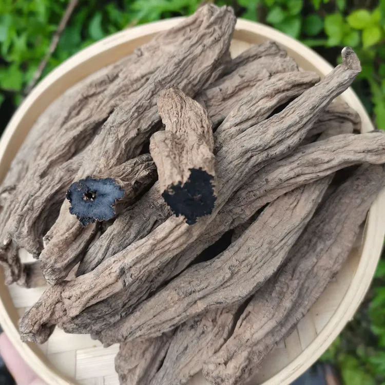 高山高海拔珍藏乌金参 林隐先生专属 非枸杞