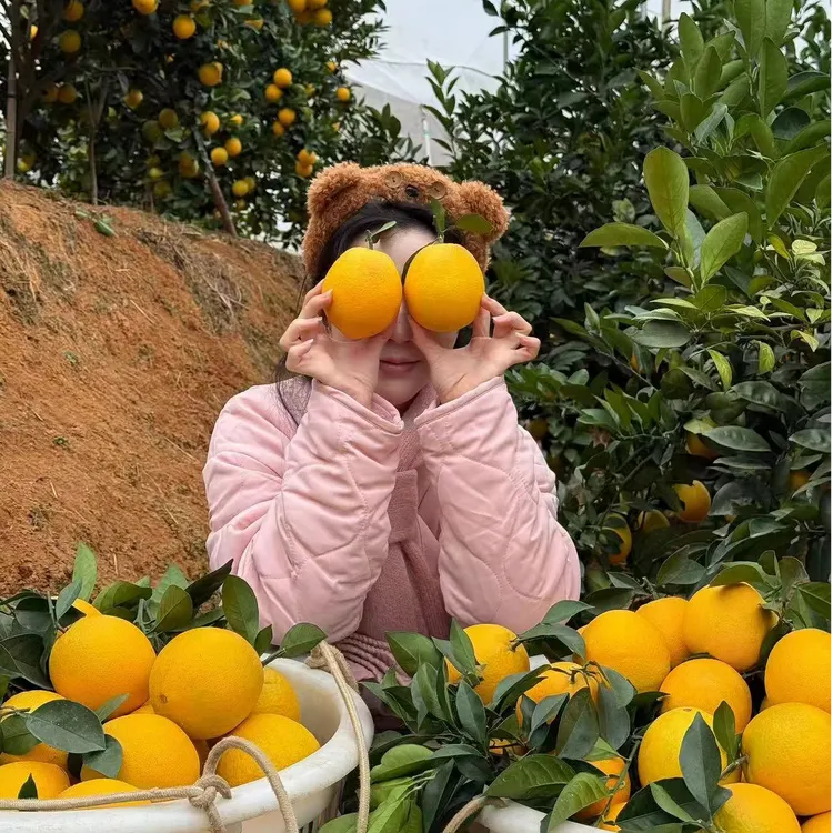 【三岁雪宝专属】正宗赣南脐橙新鲜水果赣州橙子整箱5/10斤产地直发