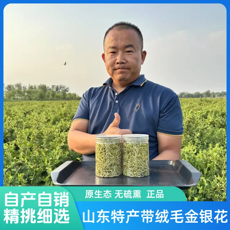 山东道地精选带绒毛金银花茶正宗无添无加初级农产品去火四季必备