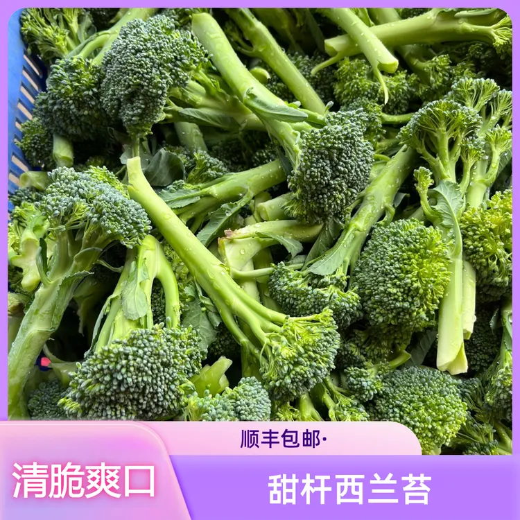 农泽情顺丰发货宁夏甜杆西兰苔新鲜净重3斤单株约0.7两约30-40株