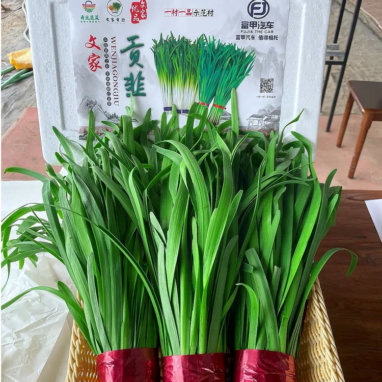 蔡曦新鲜韭菜现割速发辣味浓香安全放心韭菜