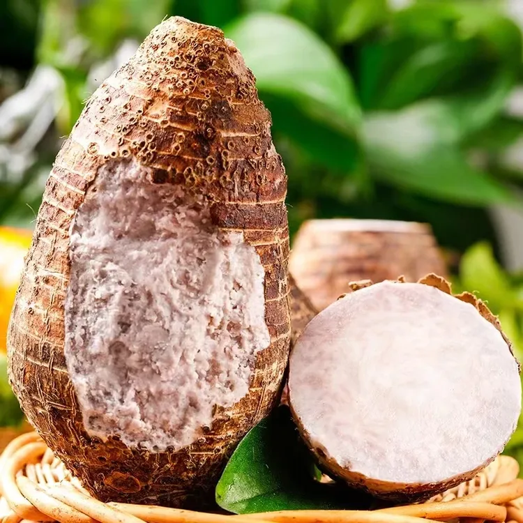 【坏果包赔】广西荔浦大芋头3斤/5斤装产地直达当季新鲜【ZY】