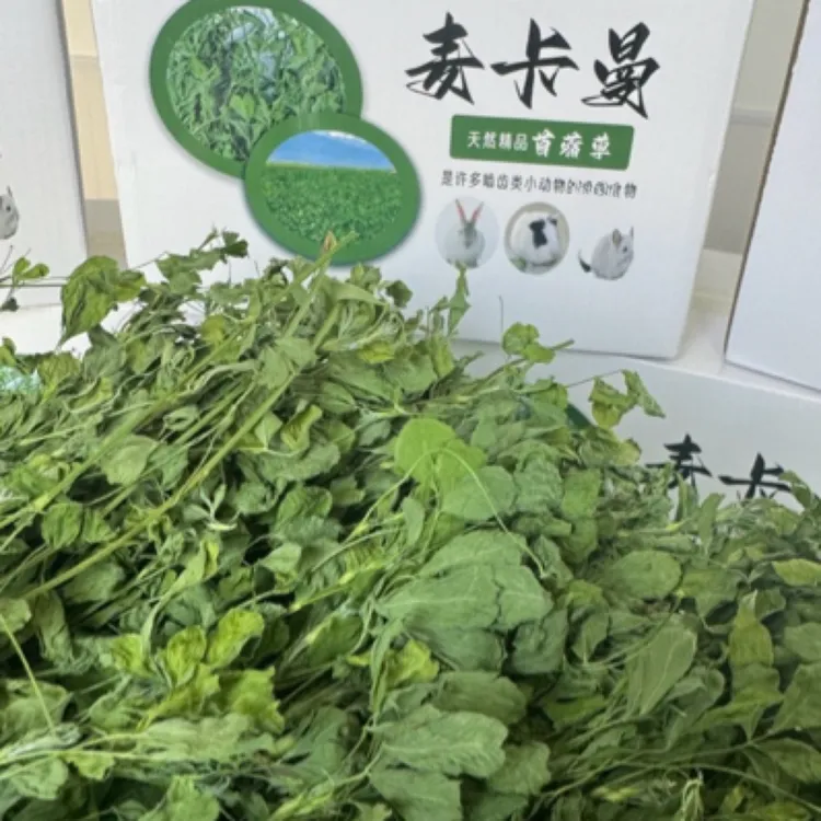 2025年优质苜蓿草烘干牧草兔子荷兰猪仓鼠龙猫幼兔专用大叶麦卡曼