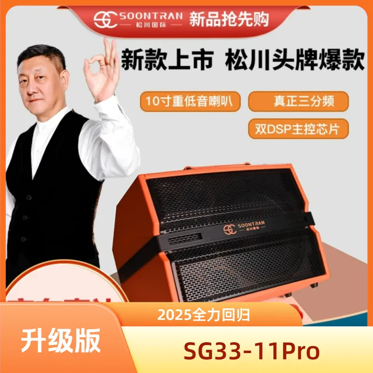 SOONTRAN/松川国际双话筒专业户外大功率 蓝牙 直播 露营 K歌音响