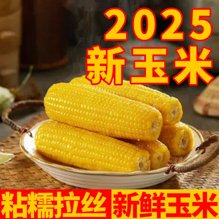 2025新鲜东北黄糯玉米甜糯玉米苞米轻食美食粗粮代餐jm